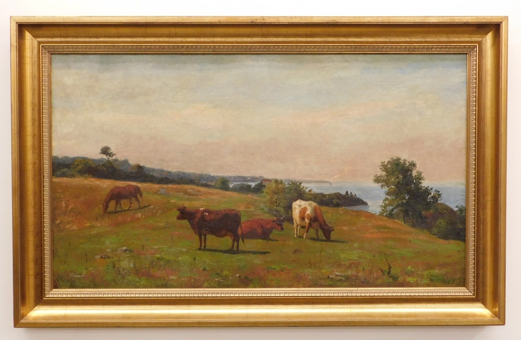 J. ROBINSON GRAZING COWS