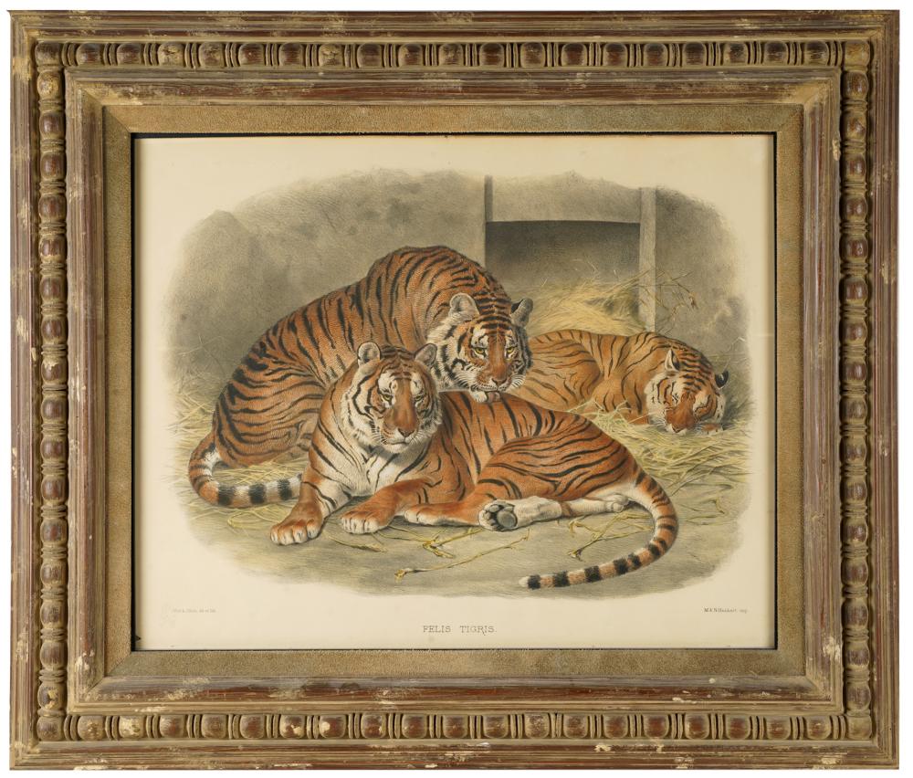 J. SMIT AFTER JOSEPH WOLF (1820 -