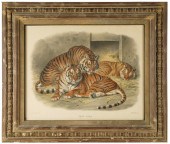 J. SMIT AFTER JOSEPH WOLF (182
