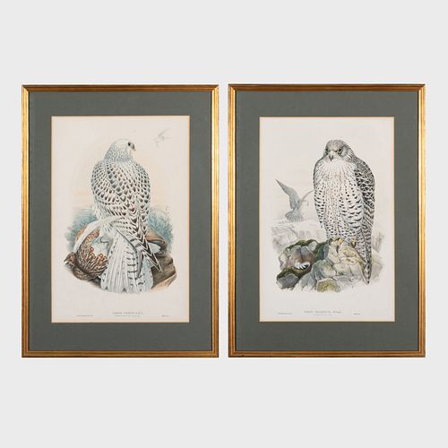 J. WOLF AND H.C. RICHTER: FALCO