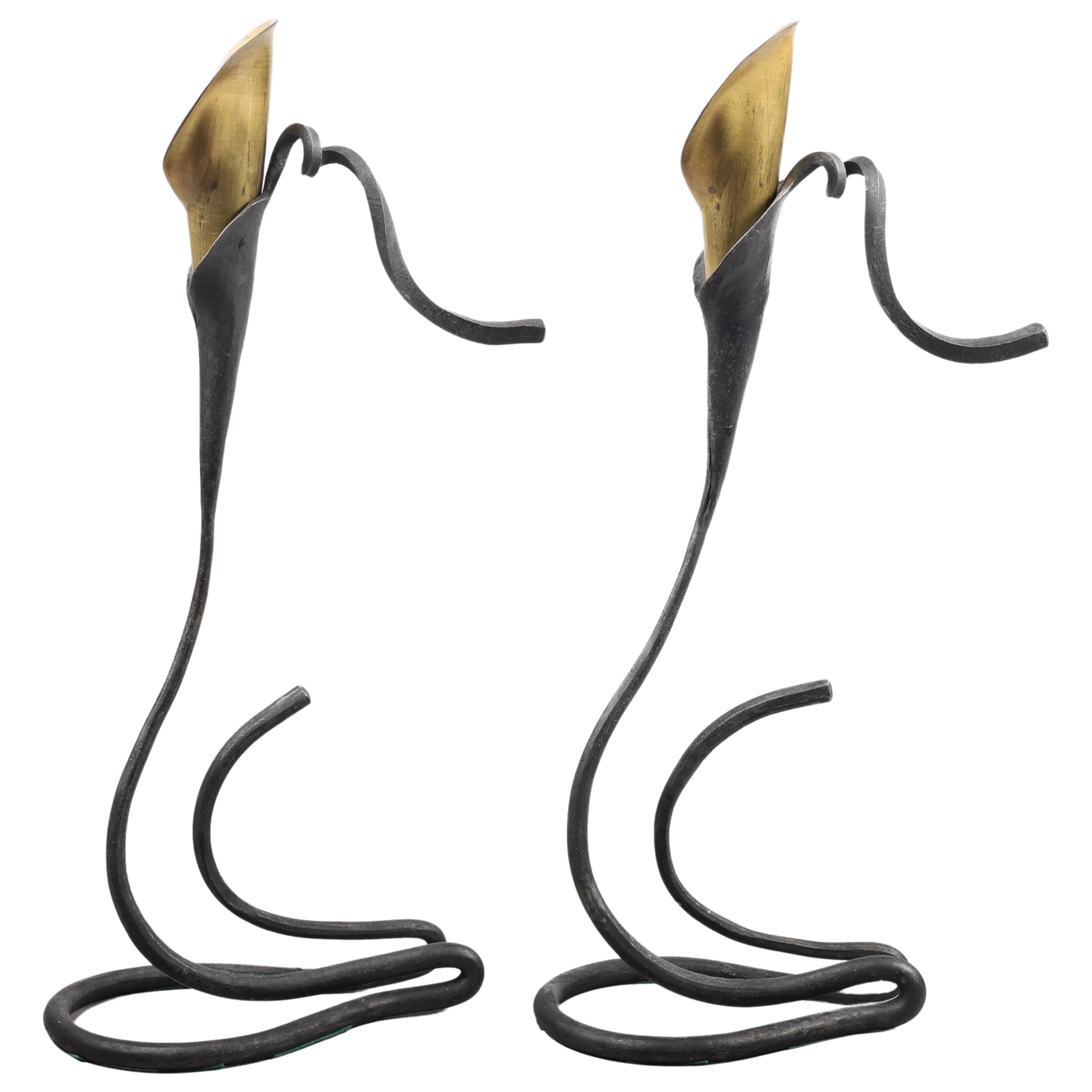 Jack Brubaker Calla Lily Wrought