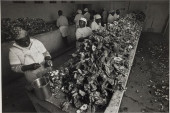 JACK LEIGH, SHUCKING HOUSE MAY