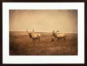 JACK SPENCER (AMERICAN/MISSISS