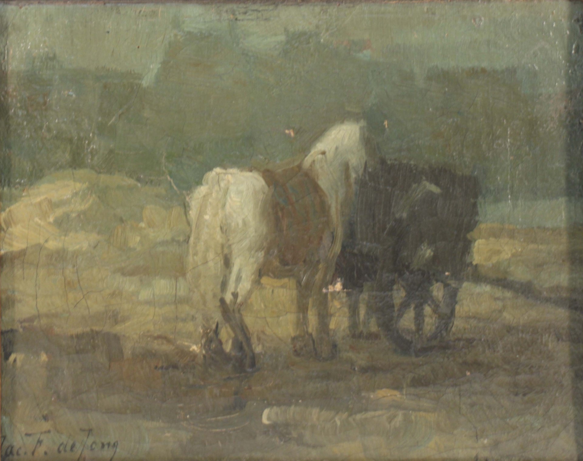 JACOBUS FREDERIK STERRE DE JONG