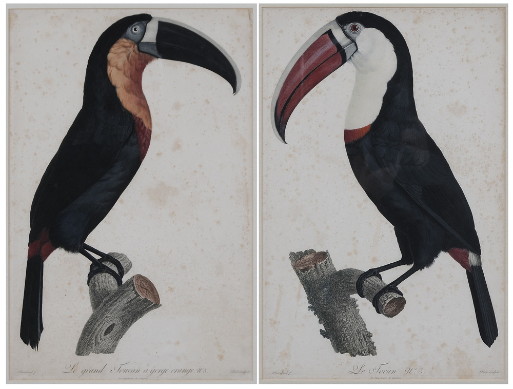 Jacques Barraband (French,