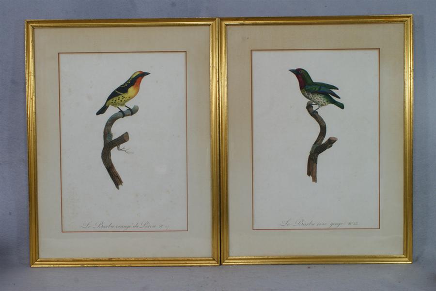 Jacques Barraband, French, 2