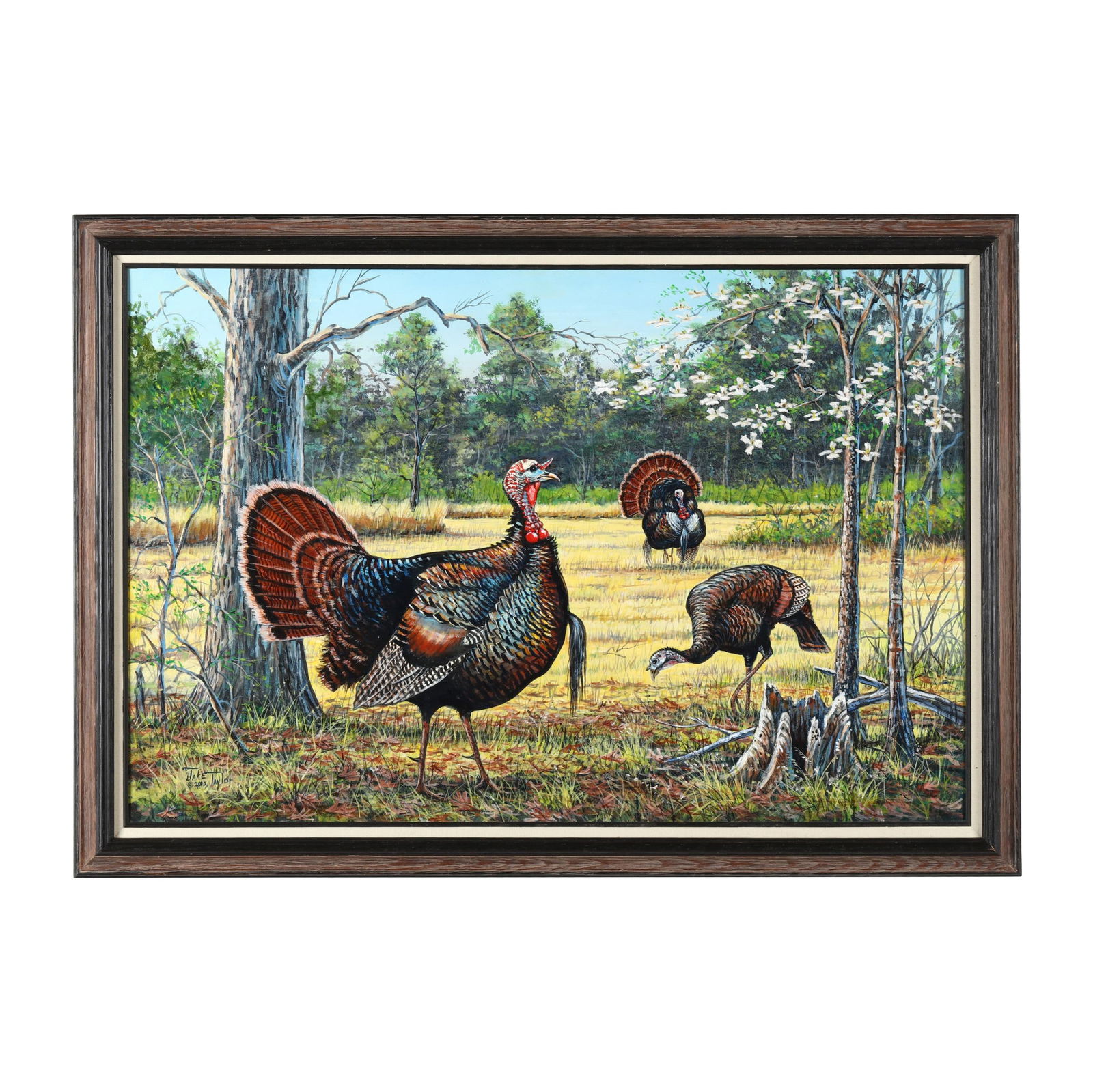 JAKE TAYLOR (NC), WILD TURKEYS IN