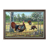 JAKE TAYLOR (NC), WILD TURKEYS