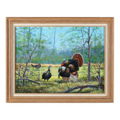 JAKE TAYLOR (NC), WILD TURKEYS