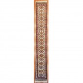 JALDAR RUNNER, PAKISTAN, 2.6 X