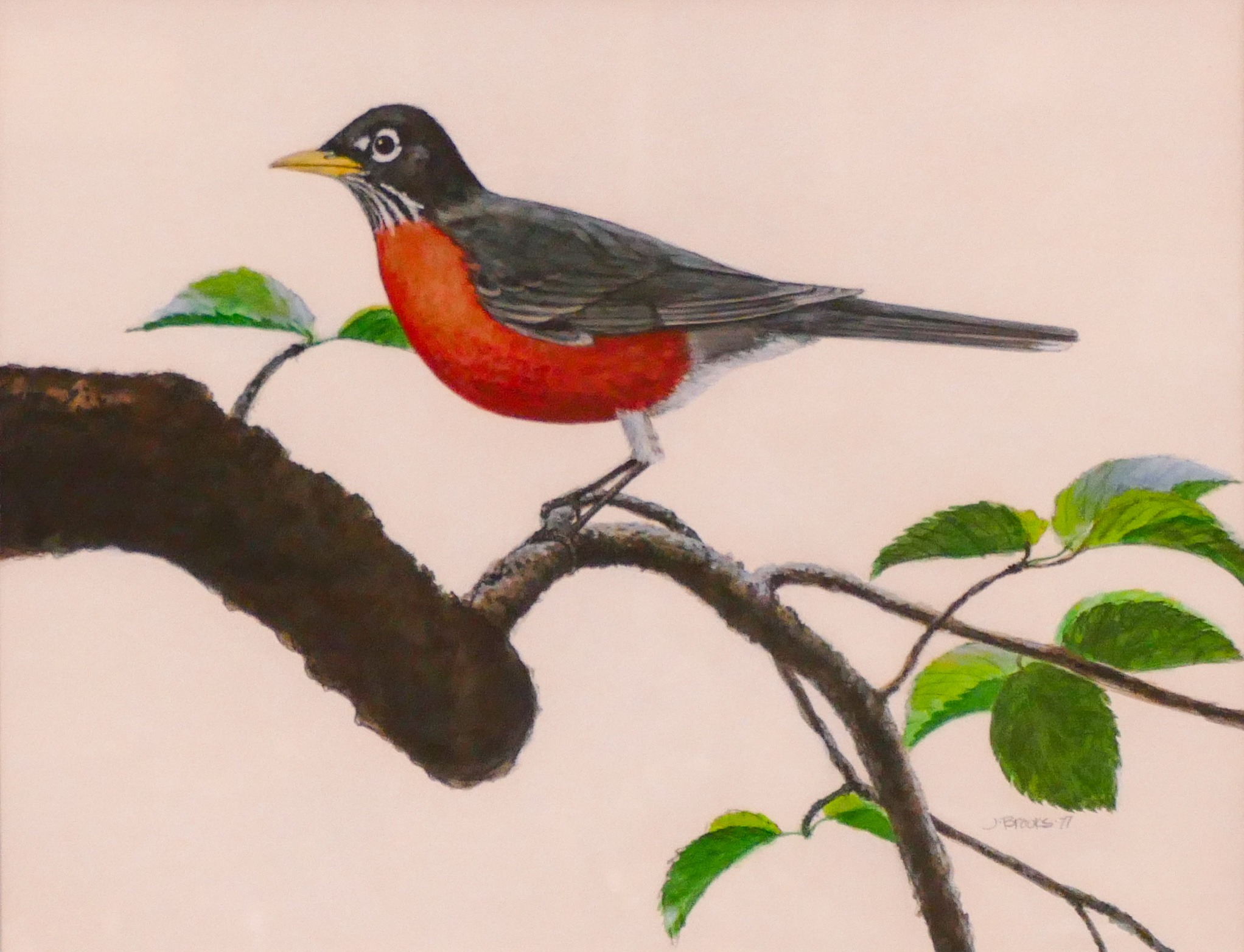 James Brooks 'Robin in the Treetop'