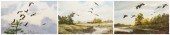 James Iams, 20th C American, M
