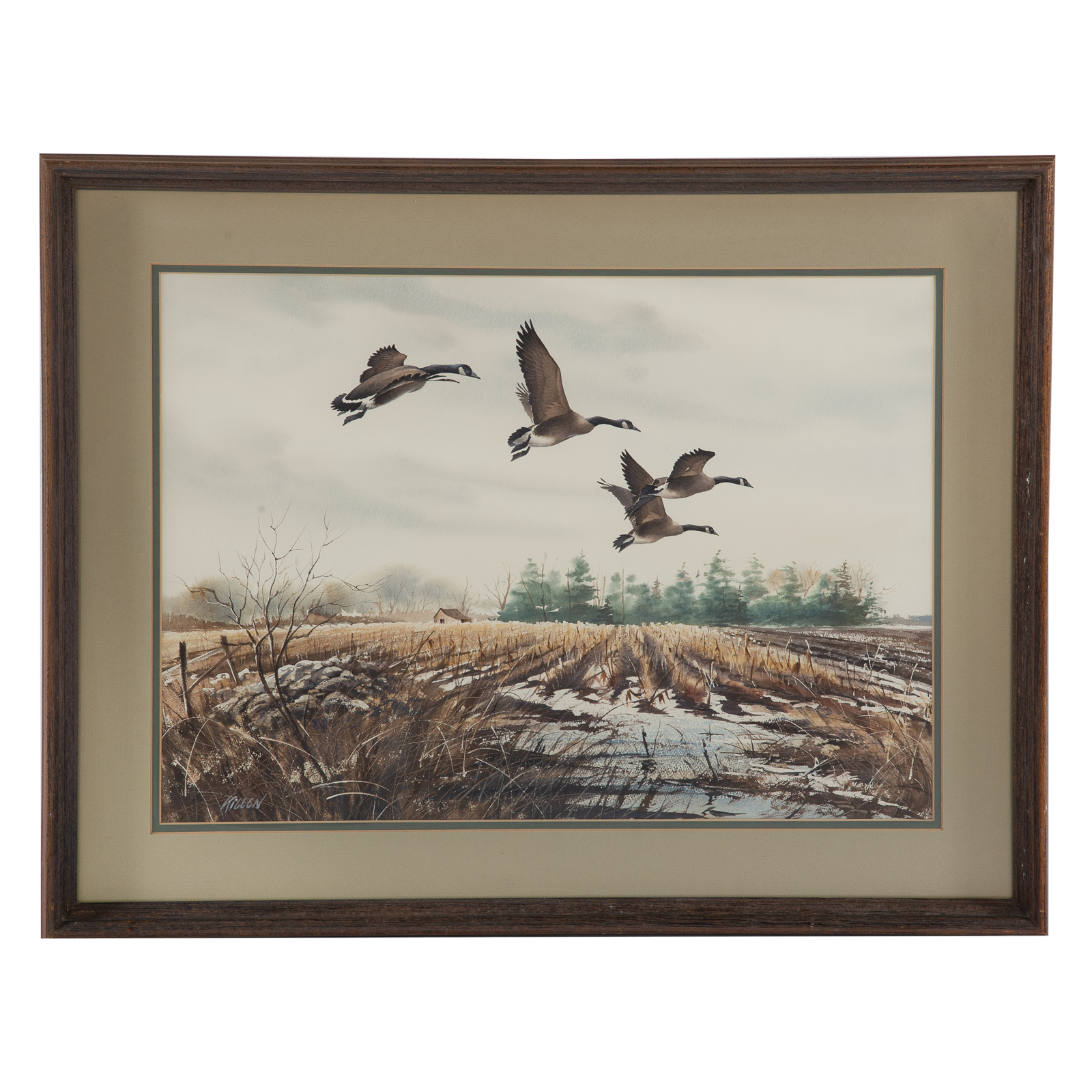 JAMES KILLEN. GEESE FLYING OVER