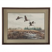 JAMES KILLEN. GEESE FLYING OVE