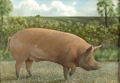 James Lynch (born 1956)/Tamworth