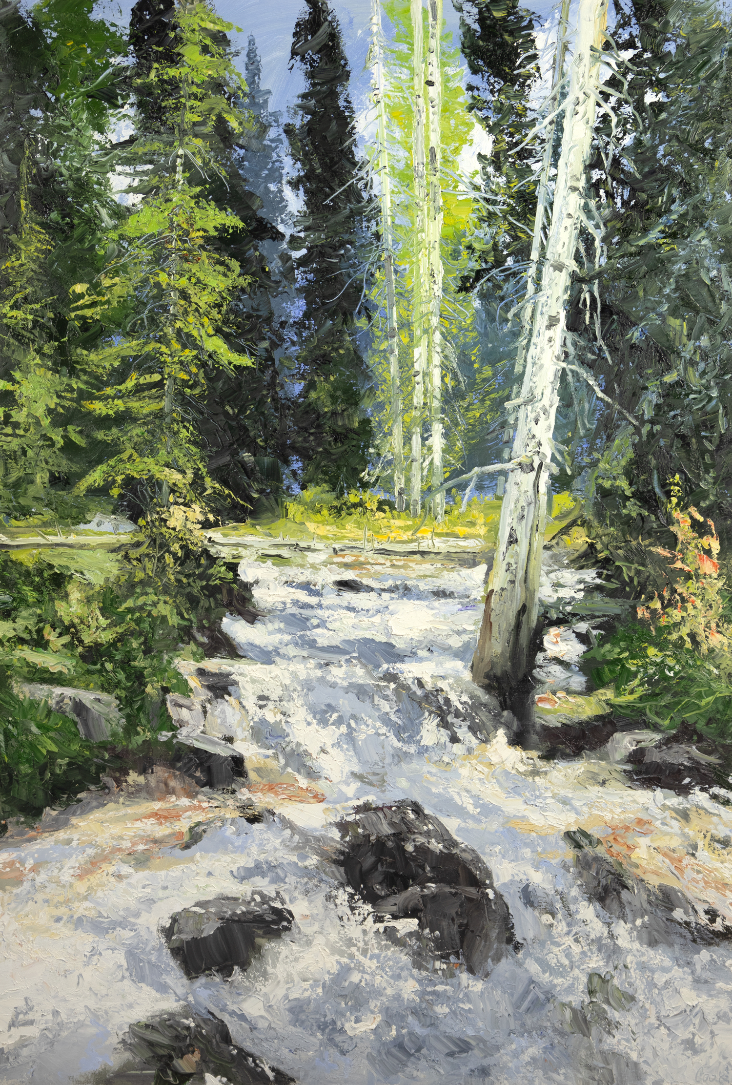 JAMES PRINGLE COOK (1947- ),