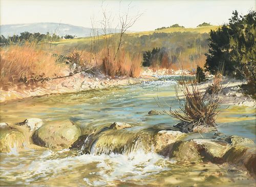 JAMES ROBINSON (AMERICAN/TEXAS
