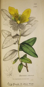 JAMES SOWERBY A collection of
