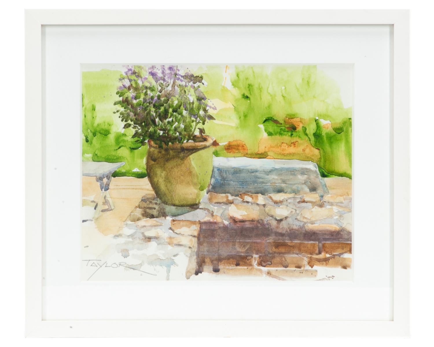 JAMES TAYLOR, POTTED PURPLE