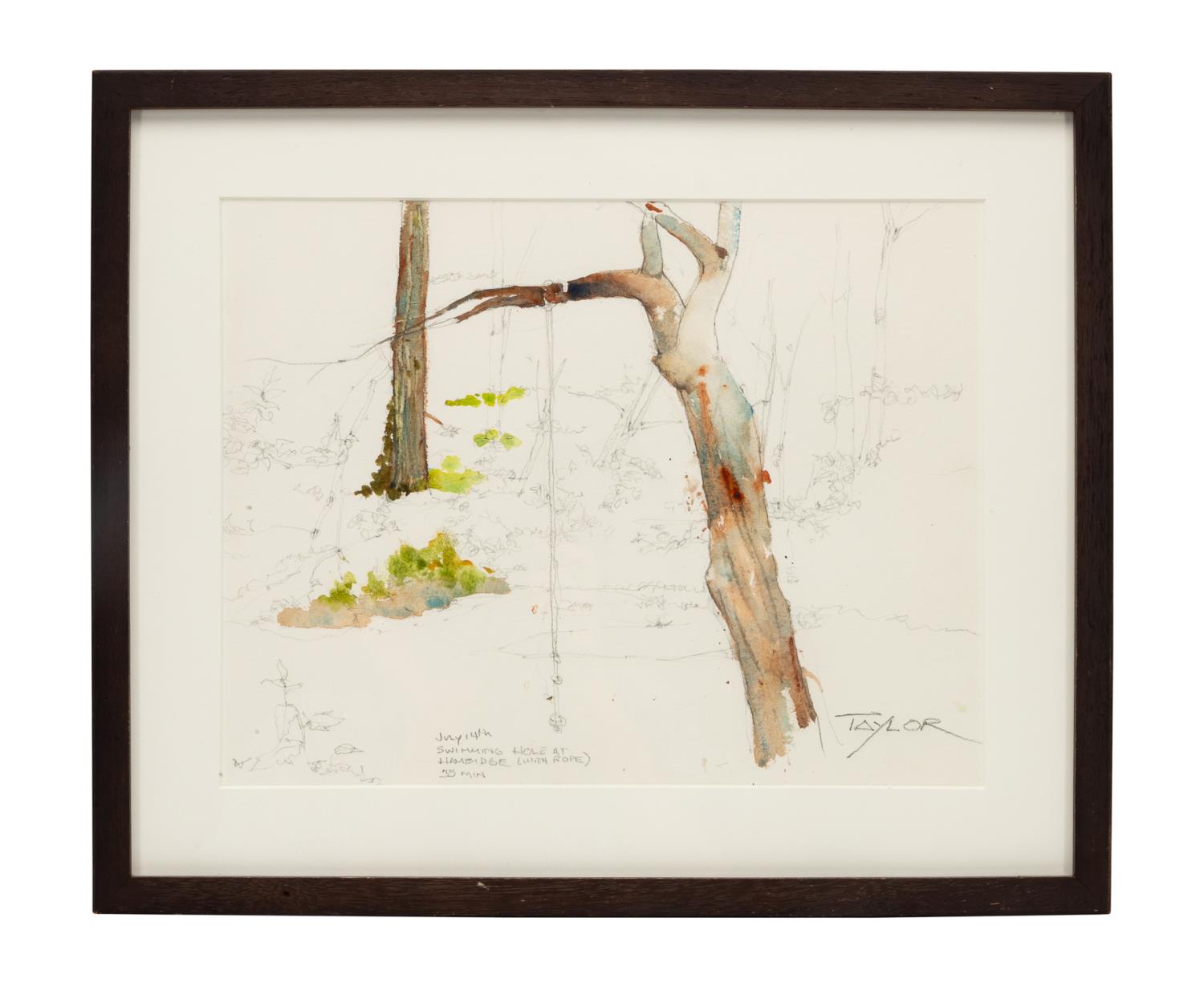 JAMES TAYLOR, SWIMMING HOLE W/