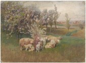 James William Pattison waterco