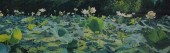 JAMES WINN (AMERICAN, 1949- )