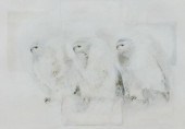 JAMIE TASEN 'AWAKENING WISDOM'