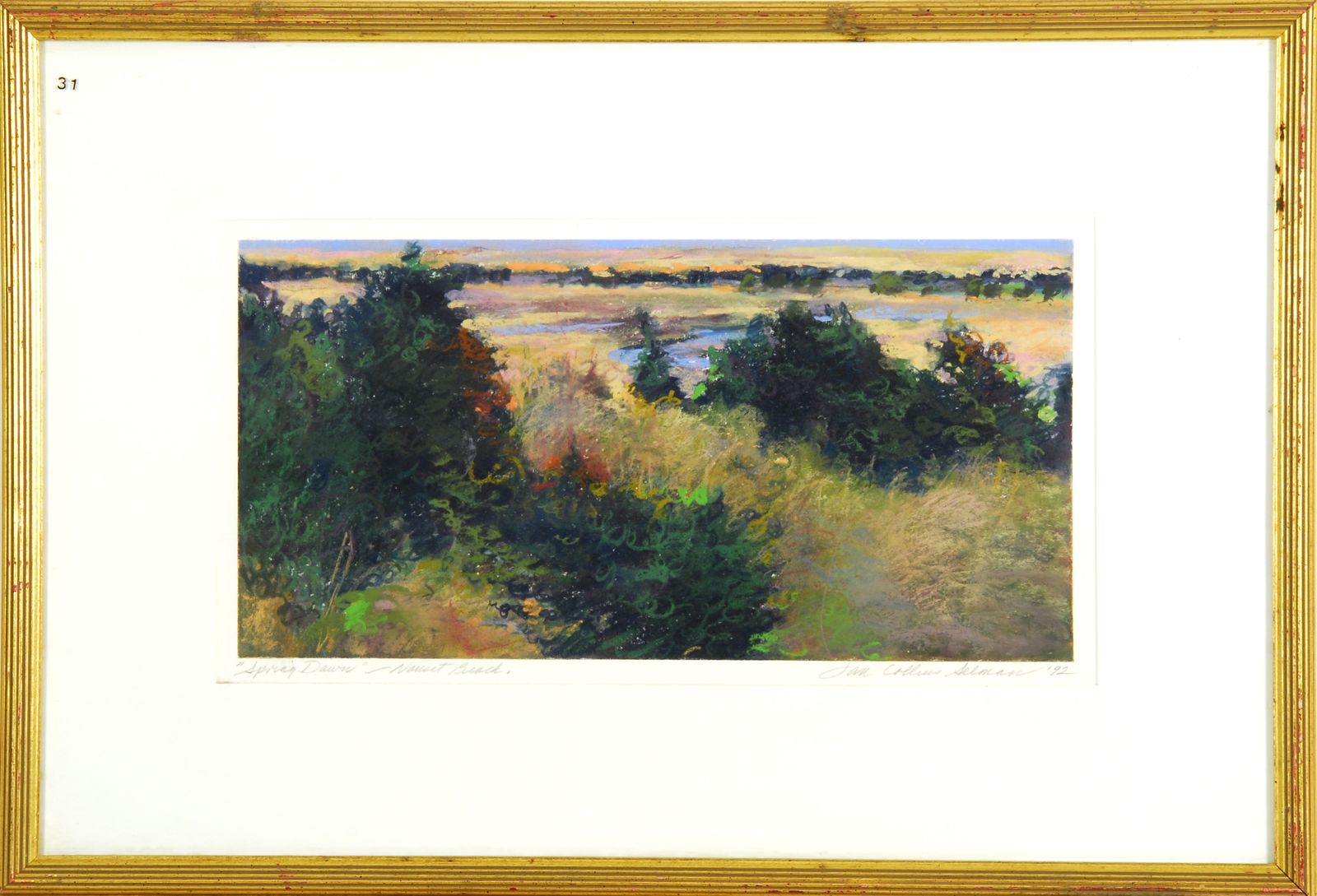 JAN COLLINS SELMANAmerican