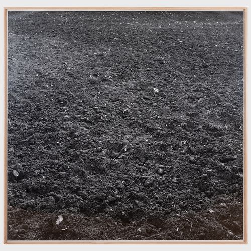 JAN HENLE (B. 1948): UNTITLED