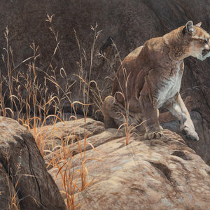 Jan Martin McGuire (American, b.