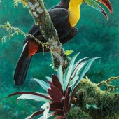 Jan Martin McGuire
(American,