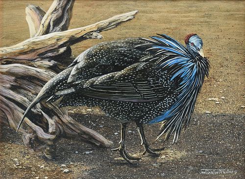 JAN MARTIN MCGUIRE (AMERICAN B.
