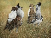 JAN MARTIN MCGUIRE (AMERICAN B