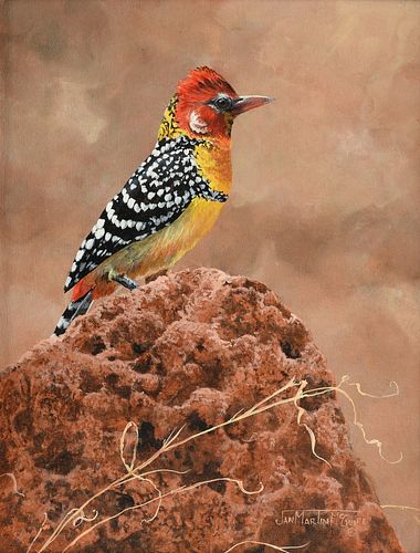 JAN MARTIN MCGUIRE (AMERICAN B.