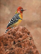 JAN MARTIN MCGUIRE (AMERICAN B