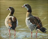 JAN MARTIN MCGUIRE (AMERICAN B