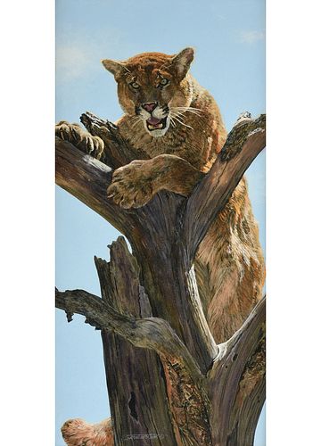 JAN MARTIN MCGUIRE (AMERICAN B.