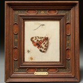 JAN VAN KESSEL THE ELDER (MANN