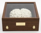 JANE SOUTHGATE 'KNITTED BRAIN'