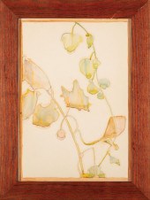JANE WHIPPLE GREEN (AMERICAN/L
