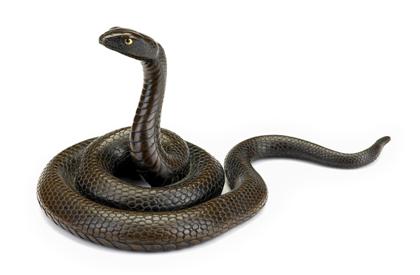 Japanese bronze snake model   