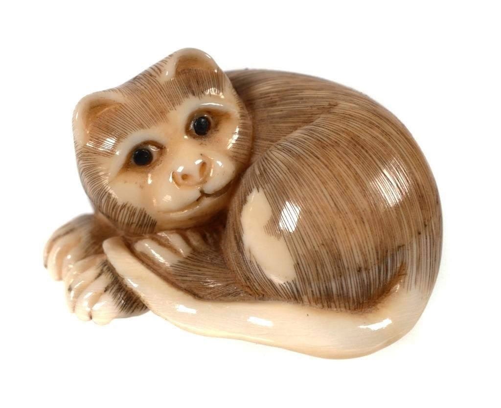 JAPANESE CARVED IVORY CAT NETSUKE