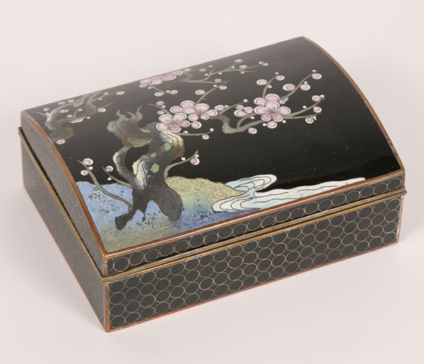 Japanese cloisonne box with