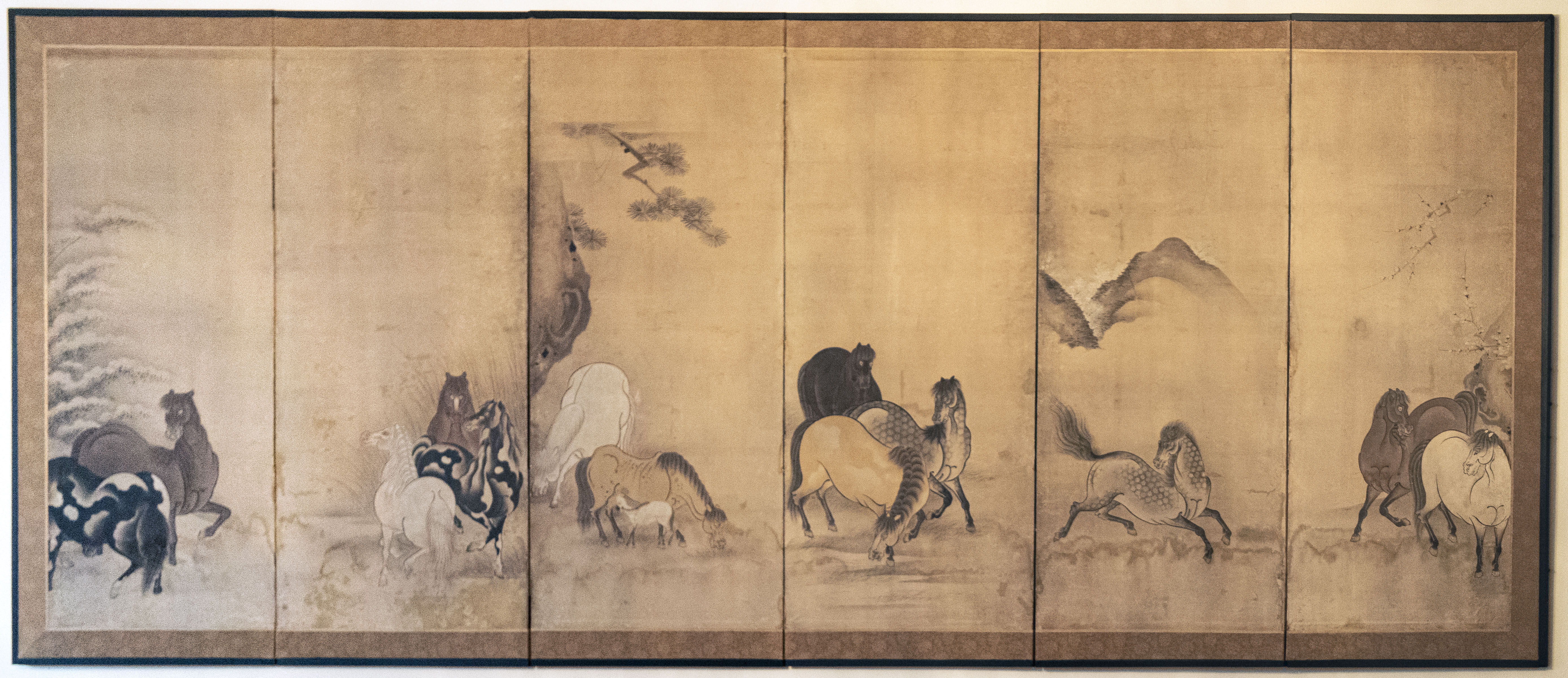 JAPANESE HASEGAWA SCHOOL