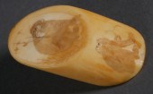JAPANESE IVORY NETSUKE SCENE O
