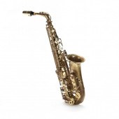 JAPANESE MARTIN (YANAGISAWA) A