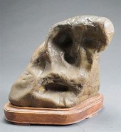 JAPANESE MOTTLED BROWN SUISEKI