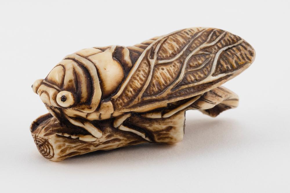 JAPANESE NETSUKE BY DOHO 19TH