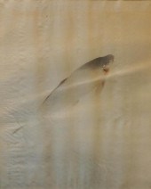 JAPANESE SCHOOL, KOI FISH, WAT