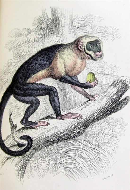 JARDINE (SIR W.) THE NATURALISTS